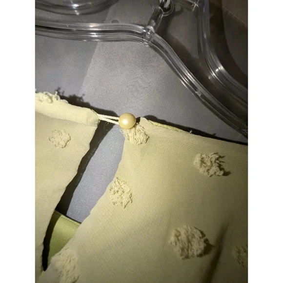 NWT Hanna Nicole Dress With‎ Sheer Long Sleeves Size 20W Light Green Mature - Picture 3 of 10